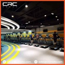 CRC Commercial Elliptical SH-B9100E