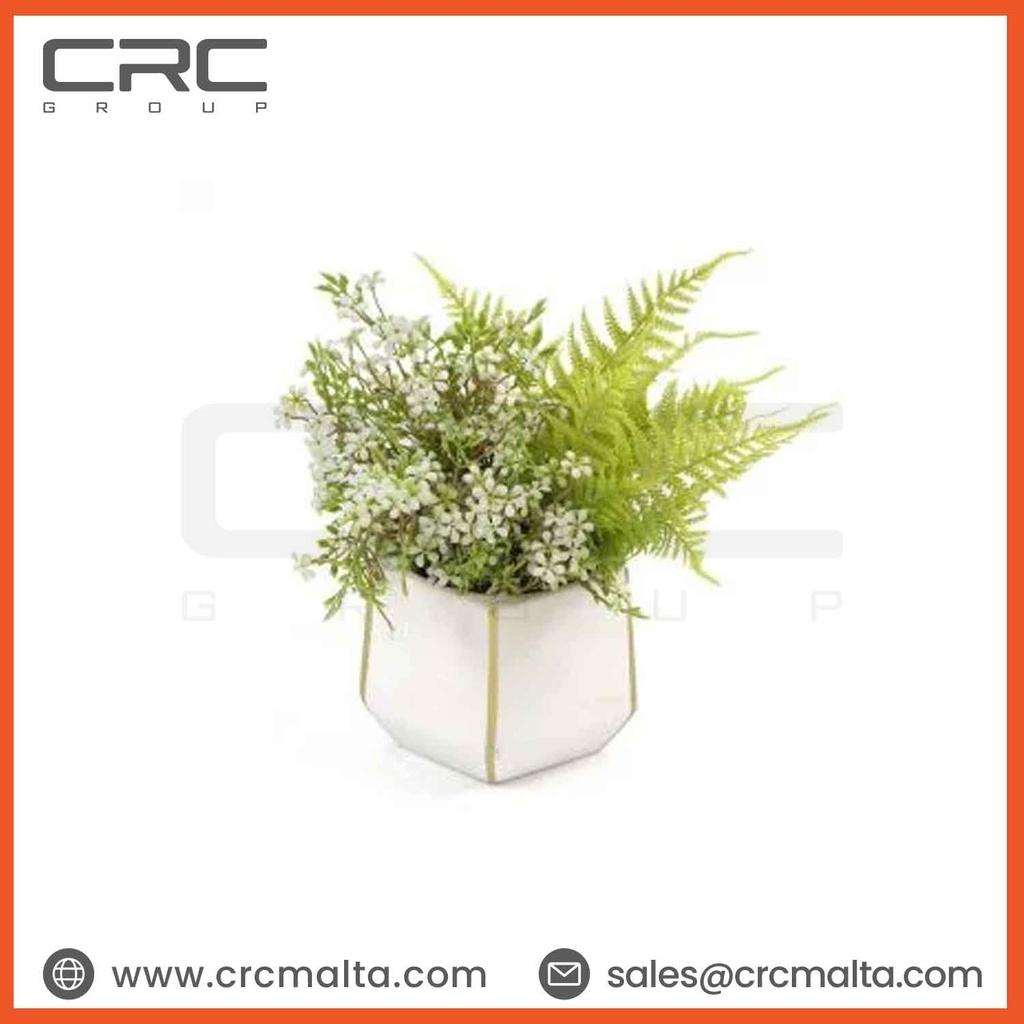 CRC Miniature Plant TPM094