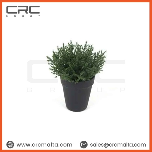 CRC Small Artificial Plant TPM60281